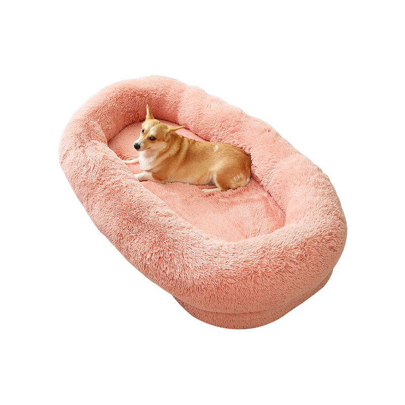 Mollis gausapati iaculis lacinia est canis dormienti lectulo 