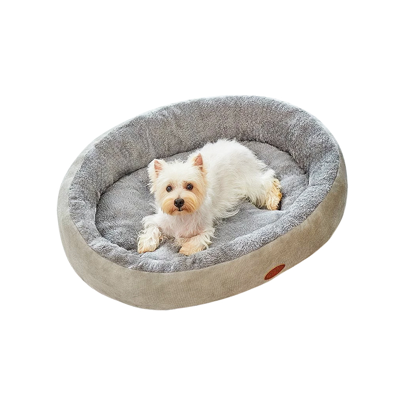 Hiems calidum dormiens cubile cubile pets 