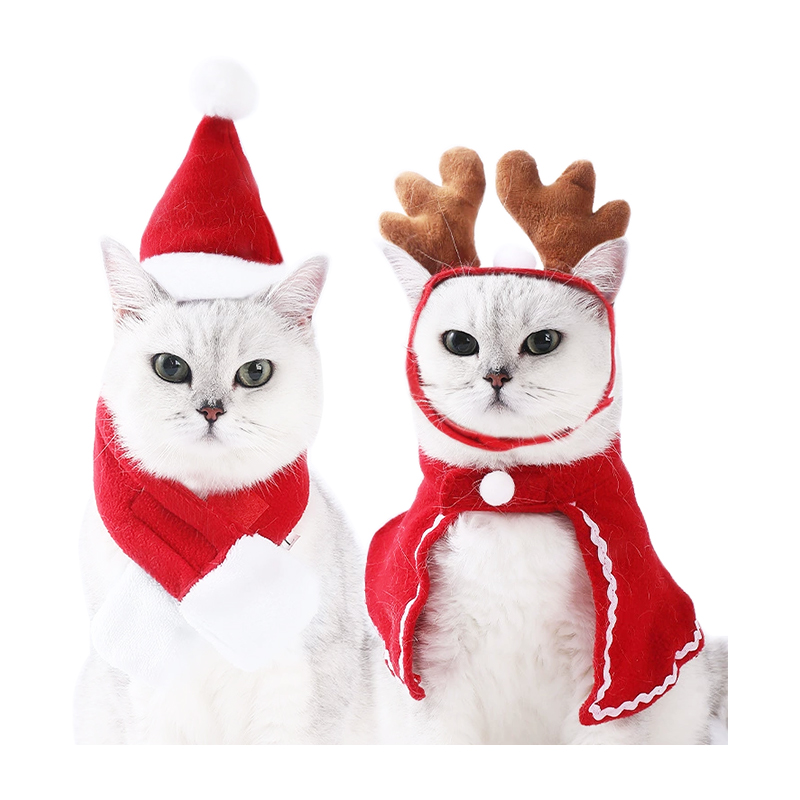 Class aptent canis cattus vestimenta sua accessiones
