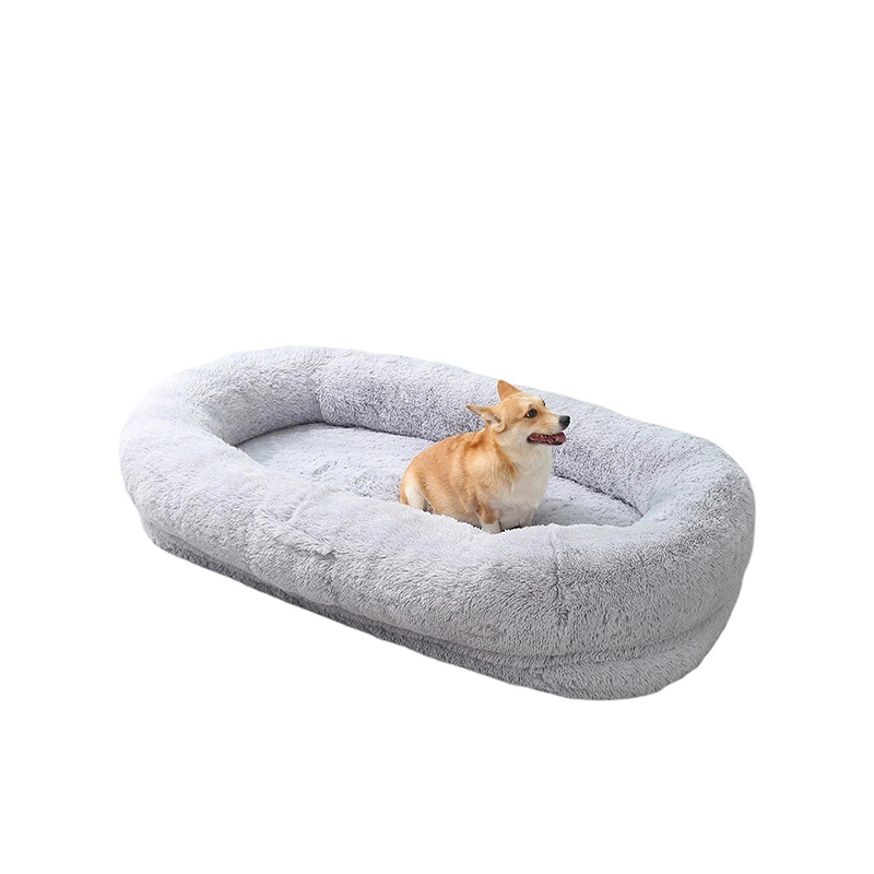 Mollis gausapati iaculis lacinia est canis dormienti lectulo 