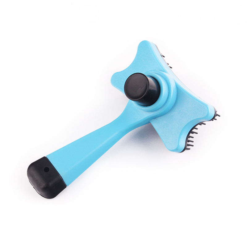 Pet capillus nitido pectine