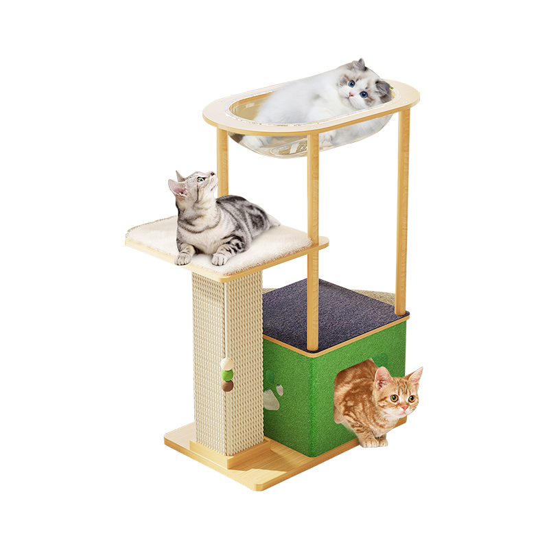 Cat amet scandere frame ludens domum