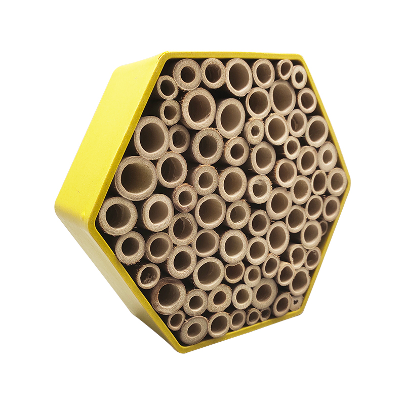Sexangulus bamboo fibra insectum