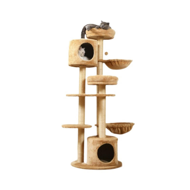 Multi-campester cattus saliens suggestum domus
