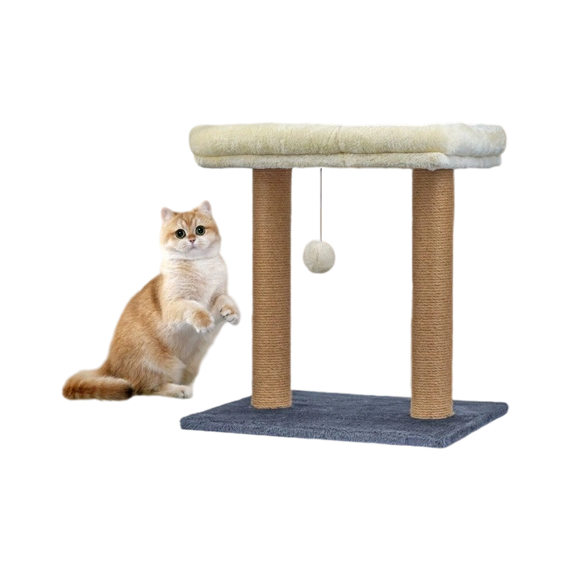 Amet nibh cat scandere frame