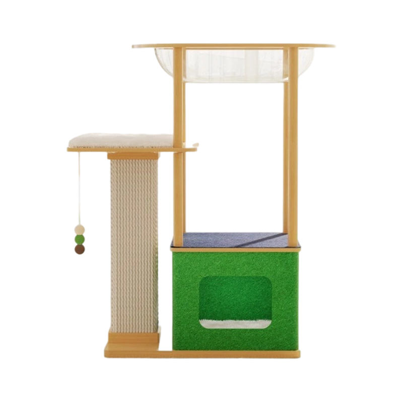 Indoor cattus domum scandere frame