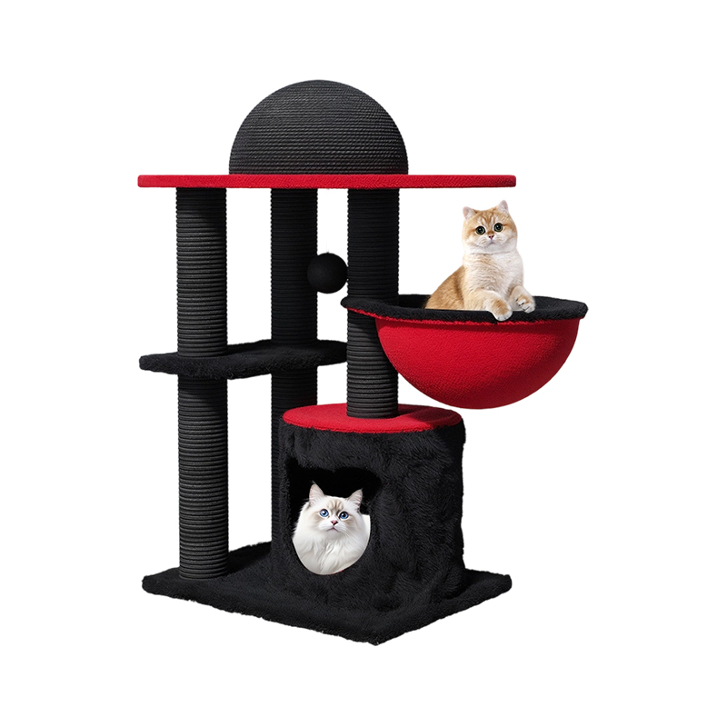 Multi-level cattus scandens frame supellectilem